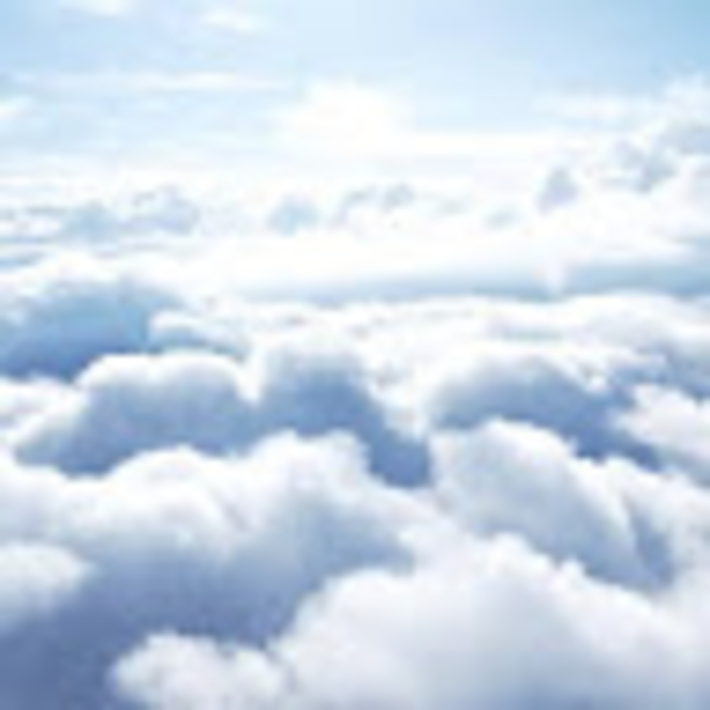 Meet your Posher, Nina